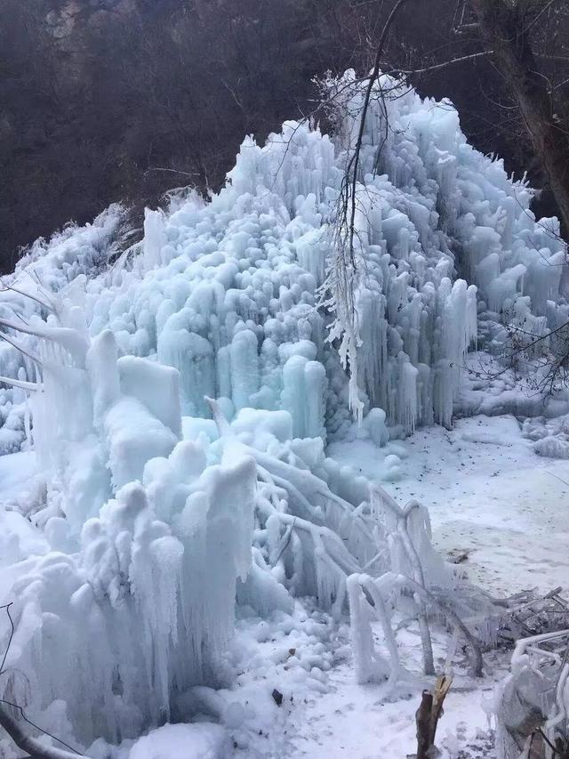 三九天从什么时候开始算？