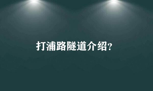 打浦路隧道介绍？