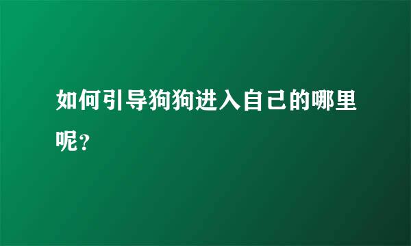 如何引导狗狗进入自己的哪里呢？