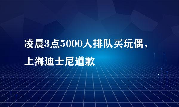 凌晨3点5000人排队买玩偶，上海迪士尼道歉