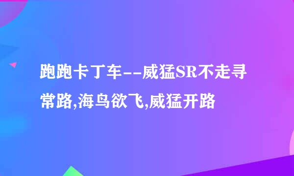 跑跑卡丁车--威猛SR不走寻常路,海鸟欲飞,威猛开路