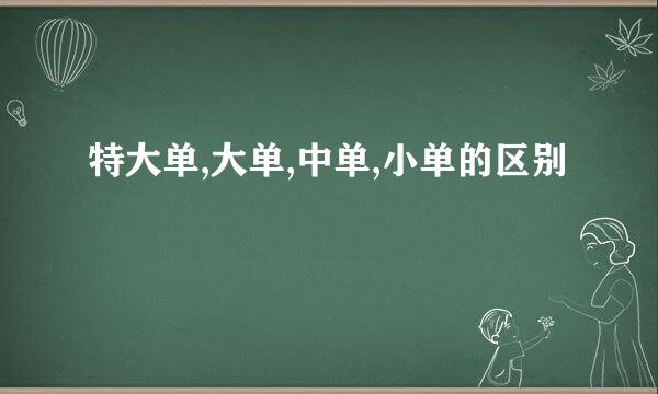 特大单,大单,中单,小单的区别