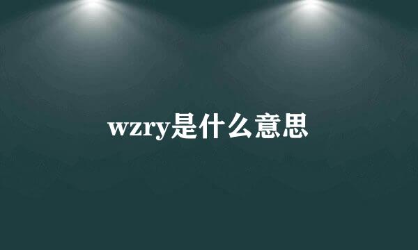 wzry是什么意思