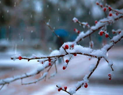 瑞雪兆丰年上句是什么？