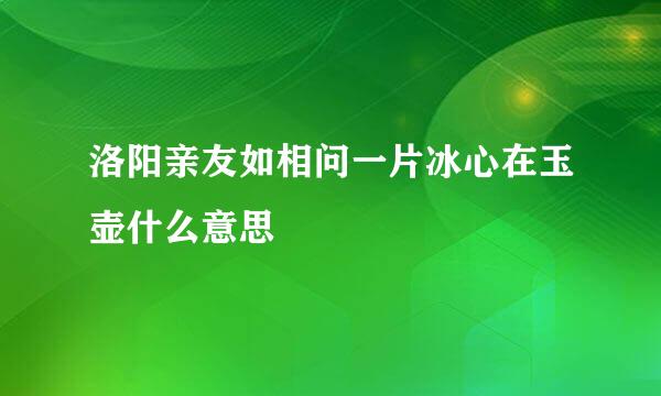 洛阳亲友如相问一片冰心在玉壶什么意思