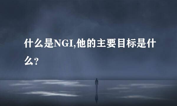 什么是NGI,他的主要目标是什么？