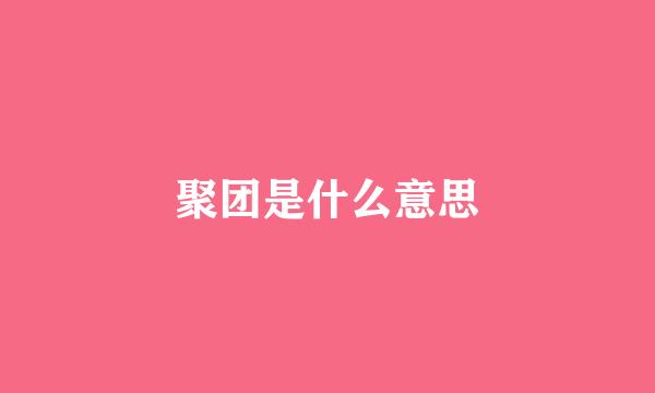 聚团是什么意思