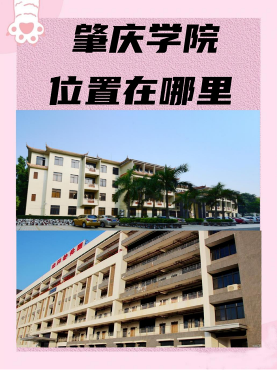 肇庆学院位置在哪里