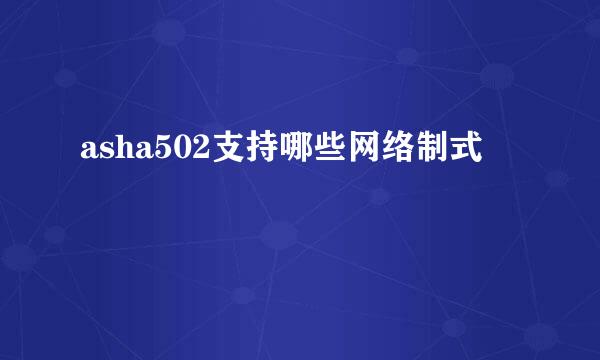 asha502支持哪些网络制式