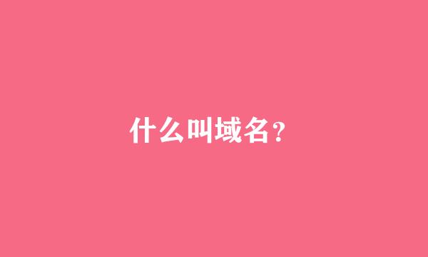 什么叫域名？