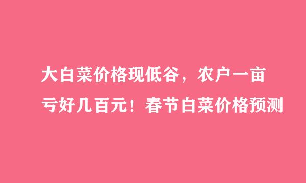 大白菜价格现低谷，农户一亩亏好几百元！春节白菜价格预测