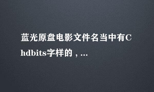 蓝光原盘电影文件名当中有Chdbits字样的 , 就一定是包含了中文字幕的吗?