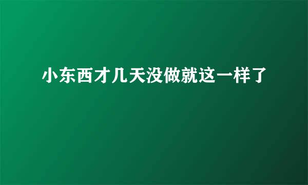 小东西才几天没做就这一样了