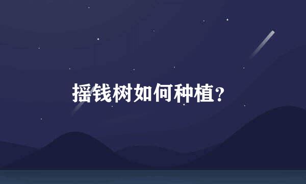 摇钱树如何种植？