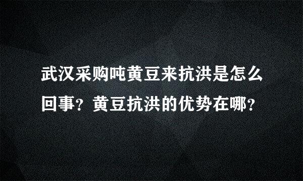 武汉采购吨黄豆来抗洪是怎么回事？黄豆抗洪的优势在哪？