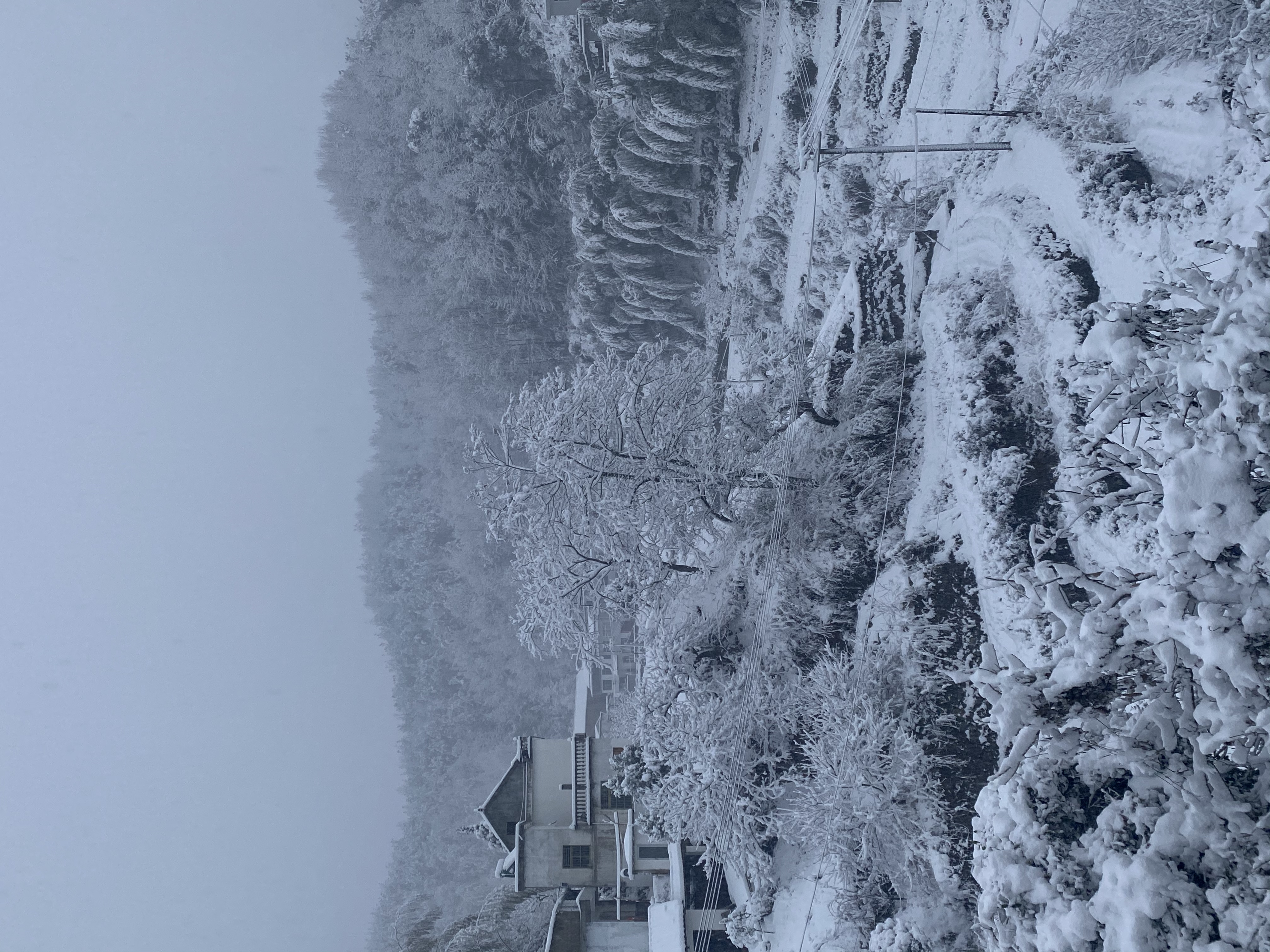 “双奥之城”北京迎虎年初雪，为何今年第一场雪来得早且下得大？