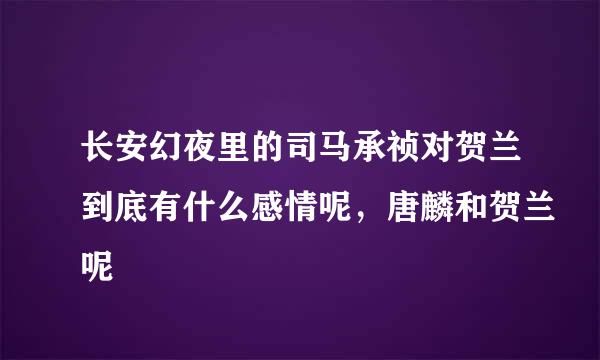 长安幻夜里的司马承祯对贺兰到底有什么感情呢，唐麟和贺兰呢