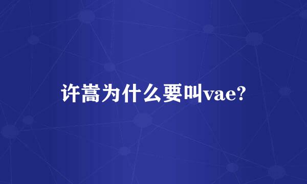 许嵩为什么要叫vae?