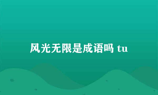 风光无限是成语吗 tu