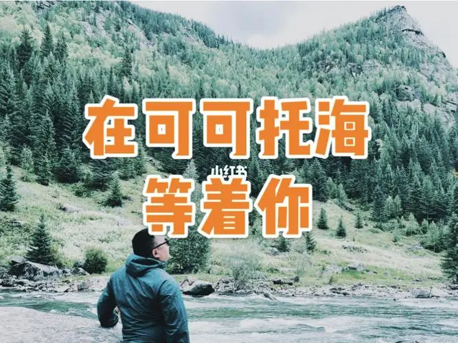 心上人我在可可托海等你是什么歌