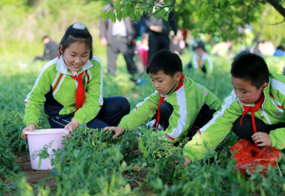 小学生劳动名言名句有哪些？