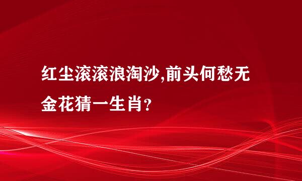 红尘滚滚浪淘沙,前头何愁无金花猜一生肖？