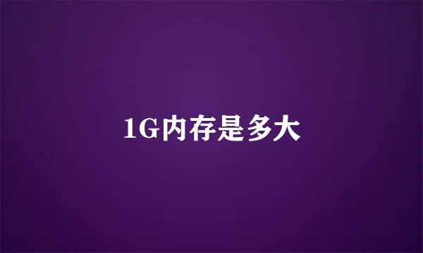 1G内存是多大