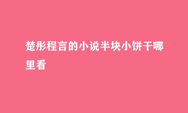 楚彤程言的小说半块小饼干哪里看