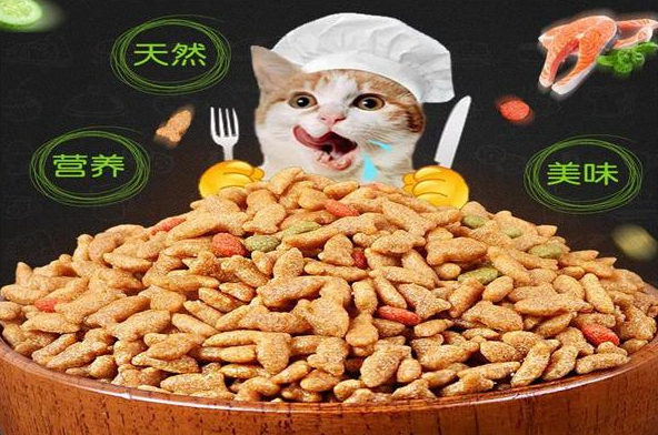 猫粮排行榜前十名