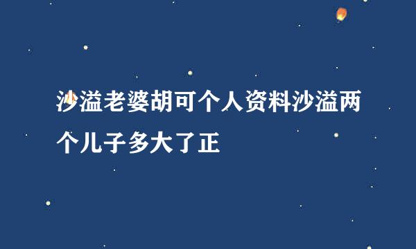 沙溢老婆胡可个人资料沙溢两个儿子多大了正