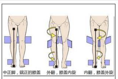 膝盖的膝怎么组词