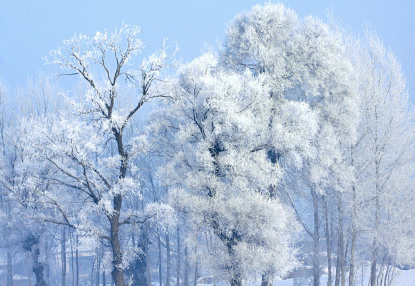 “双奥之城”北京迎虎年初雪，为何今年第一场雪来得早且下得大？