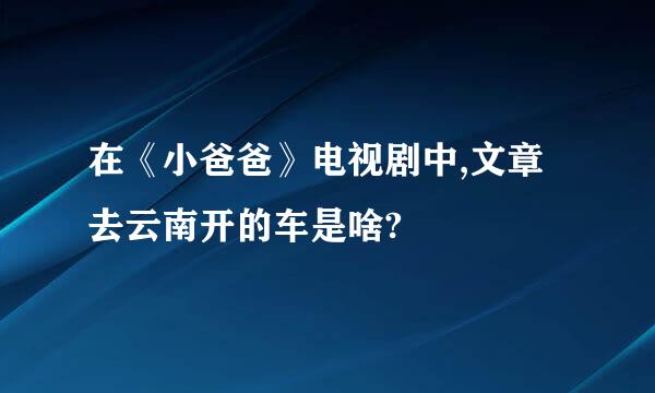 在《小爸爸》电视剧中,文章去云南开的车是啥?