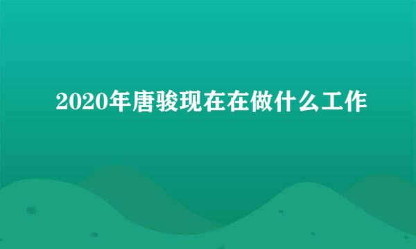 2020年唐骏现在在做什么工作