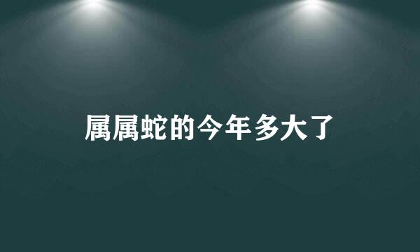 属属蛇的今年多大了