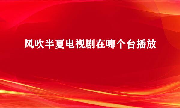 风吹半夏电视剧在哪个台播放