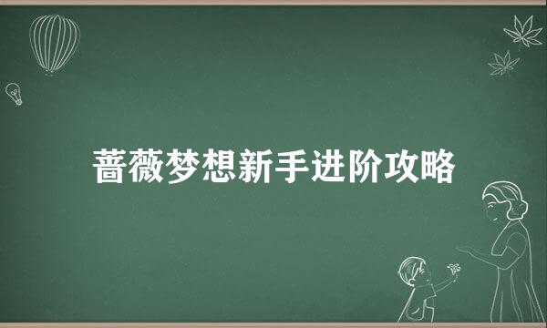 蔷薇梦想新手进阶攻略