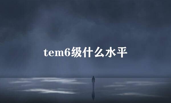 tem6级什么水平