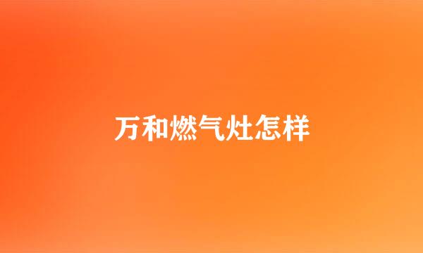 万和燃气灶怎样