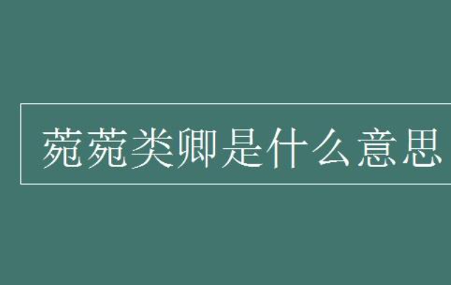 宛宛类卿的来源是什么？