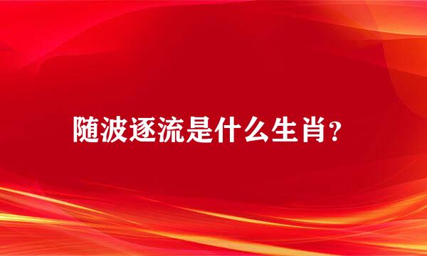 随波逐流是什么生肖？