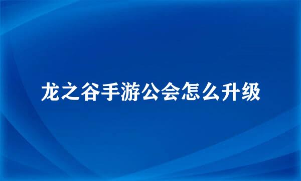 龙之谷手游公会怎么升级