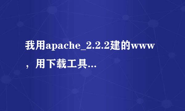 我用apache_2.2.2建的www，用下载工具不能下载站内资源