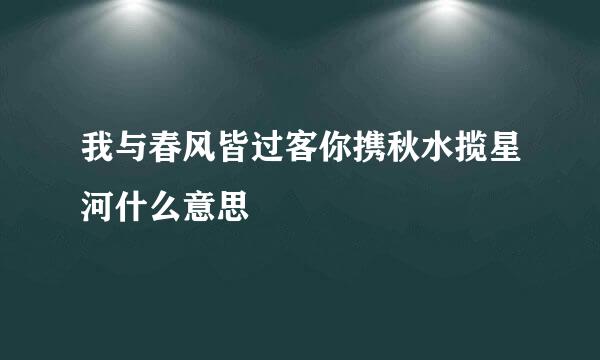 我与春风皆过客你携秋水揽星河什么意思