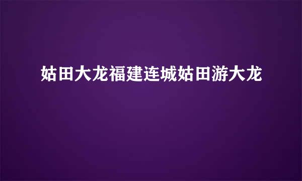 姑田大龙福建连城姑田游大龙