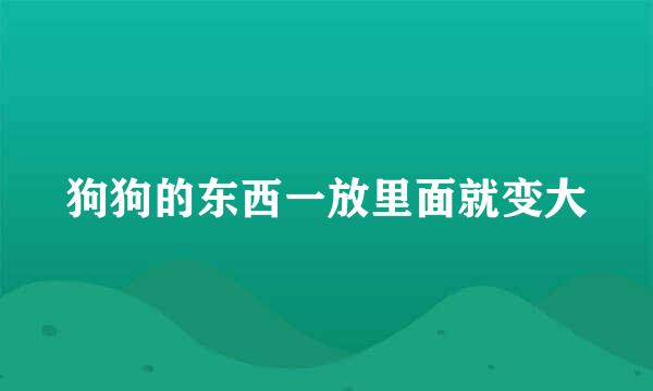 狗狗的东西一放里面就变大