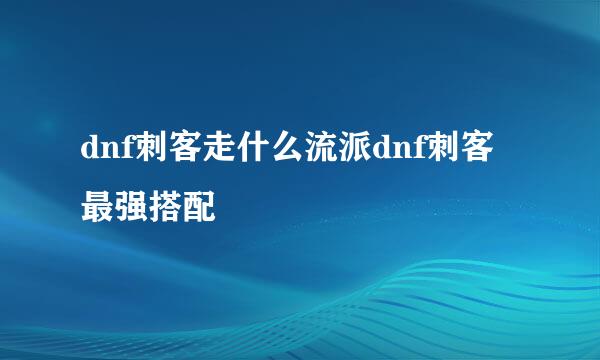 dnf刺客走什么流派dnf刺客最强搭配