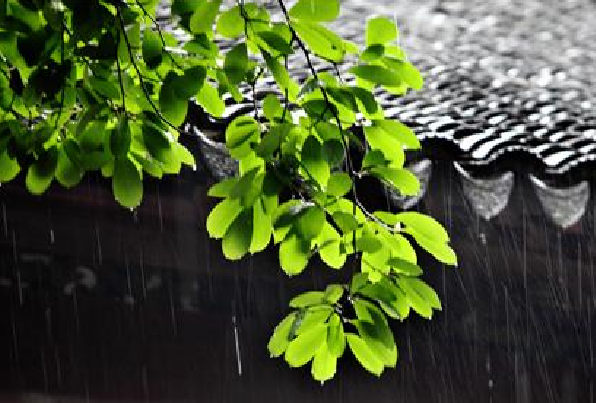 3月份是梅雨季节吗?