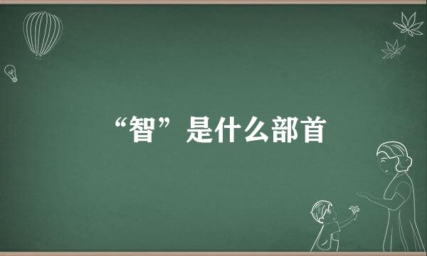 “智”是什么部首