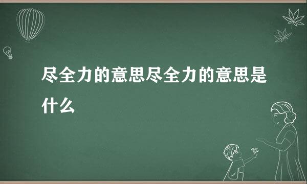 尽全力的意思尽全力的意思是什么